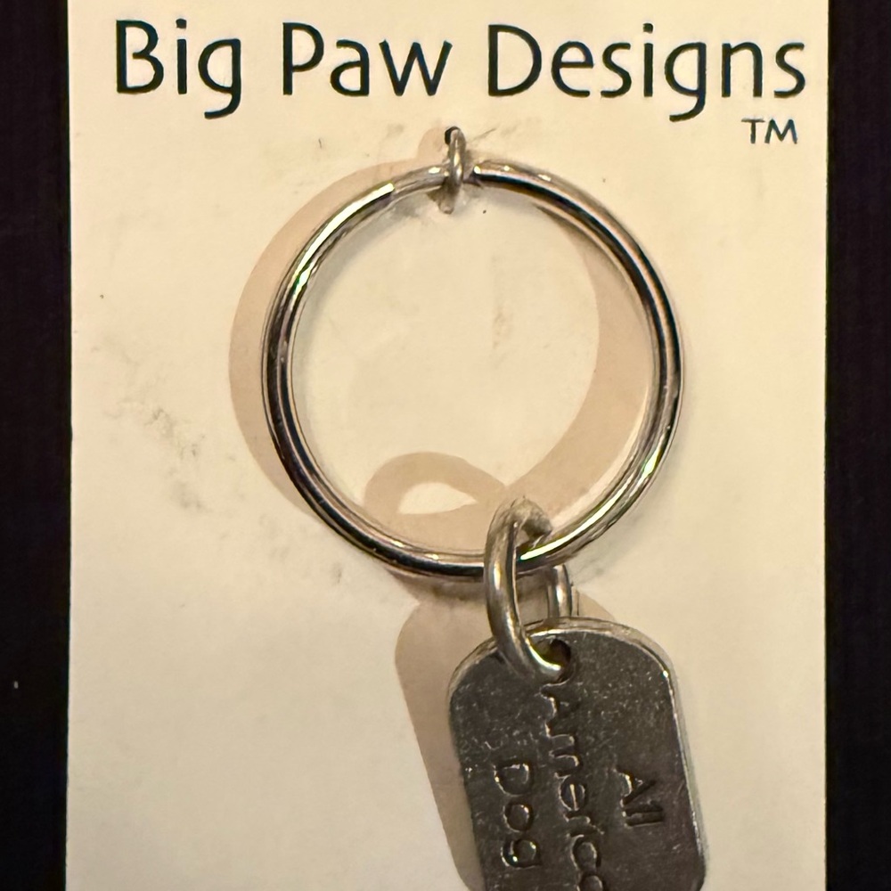 Silver Key Holder